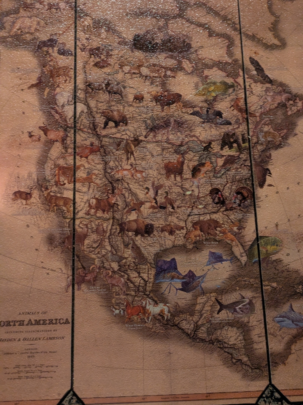 Hobby Lobby Vintage-Style North America Wildlife Map Wall Art - Brown & Tan